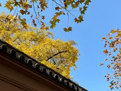 -苏州文庙(姑苏区)