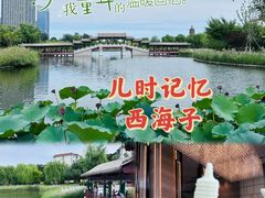 -西海子公园