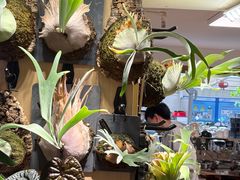 -本無咖啡·BeanWood Coffee