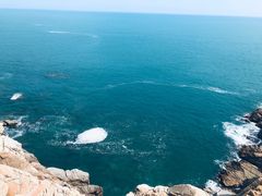 -广东惠东海龟国家级自然保护区