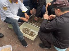 -凤竹园(修水店)