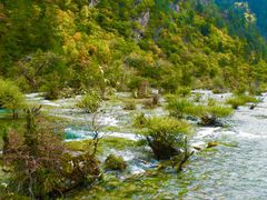 -九寨沟-树正沟