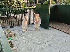 -青岛鑫江温德姆酒店