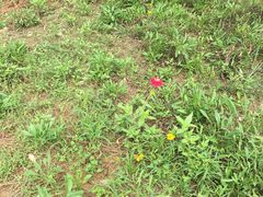 -白鹭湾湿地公园