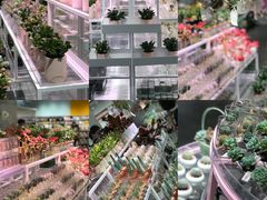 -KKV(深圳宏发大仟里店)