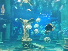 -梦幻海洋王国(吾悦广场张家港店)