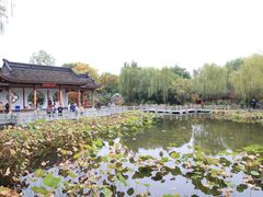 -武汉园博园(武汉自然博物馆)