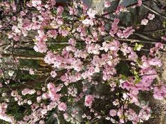 iphone_upload_pic-迎泽公园