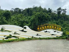 -西双版纳原始森林公园