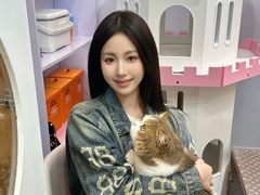 -青奢宠物·青奢猫舍