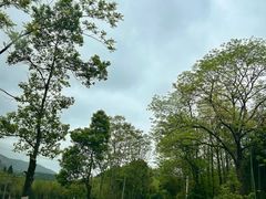 -羊楼洞