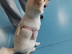 -宠颐生宠物医院·异宠猫科内科·诊疗中心宠巢店