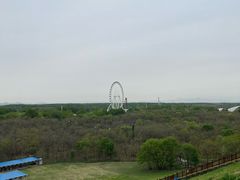 -南戴河国际娱乐中心