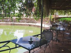 景观位-侯臣咖啡文化村