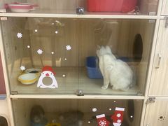 -Meowの猫咖(万家丽店)