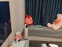 -浣熊部落ps4 ps5 switch 电玩(茶店子店)