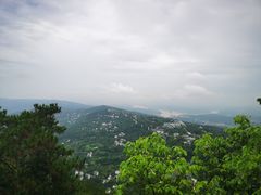 -大金鹰园