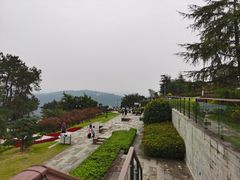 -铁山坪森林公园