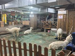 -上海昆虫博物馆