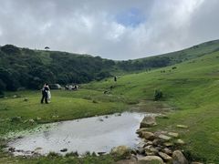 -大姆山草场