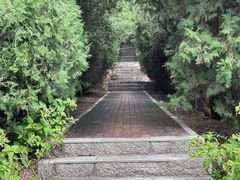 -北岭山森林公园