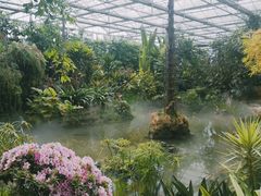 -南通洲际绿博园