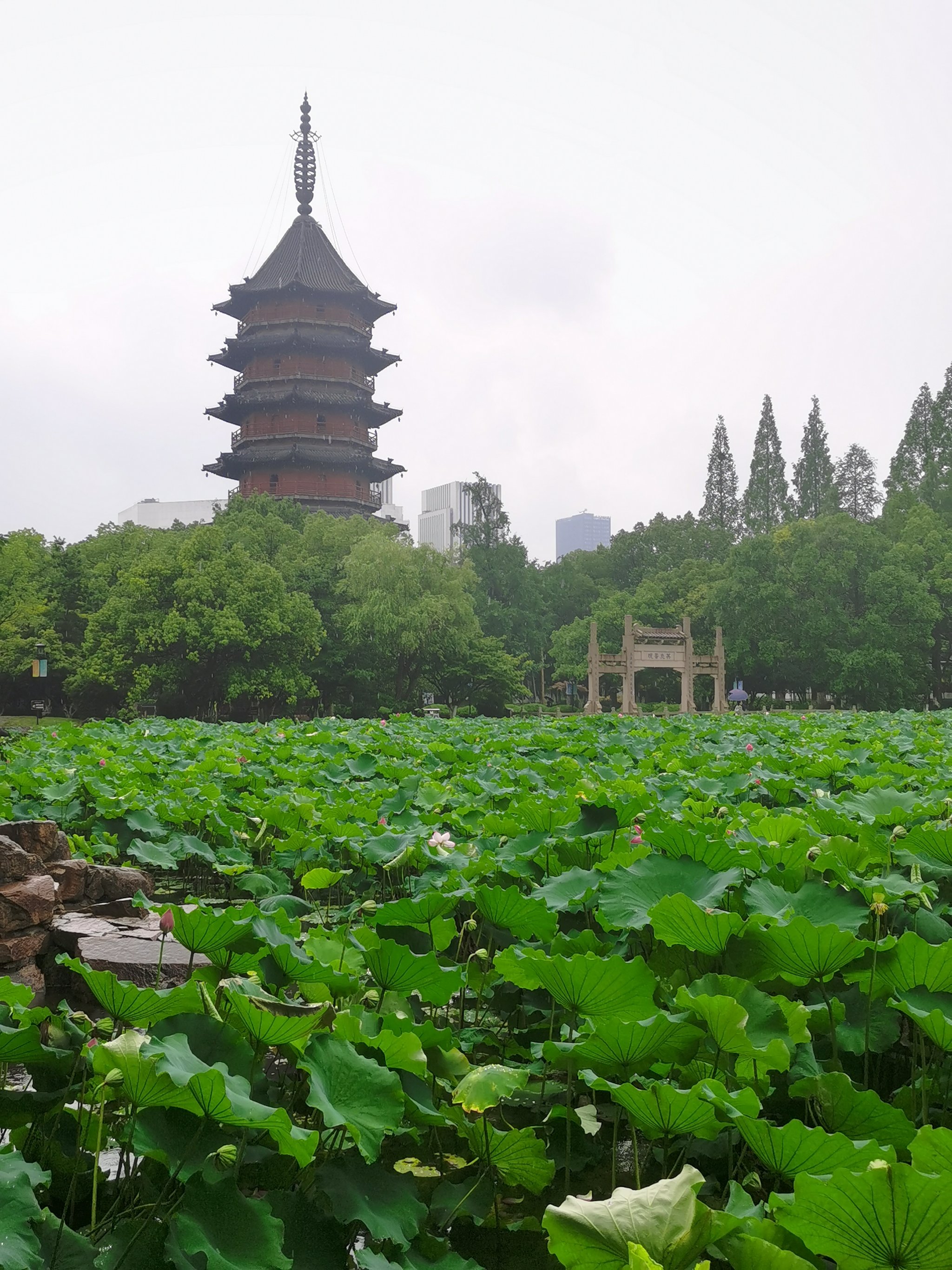 飞英公园简介图片