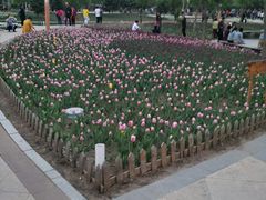 景点-长春公园(普阳街道)