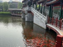 -西海子公园