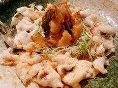 -西郊5号·Maggie 5