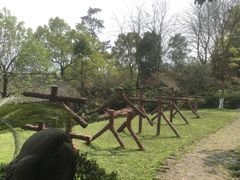 -南山植物园