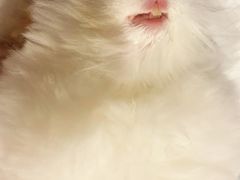 -美迦爱-牙专科·兔科·骨科诊疗中心(北苑店)
