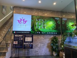-阅年轻·AI家庭健康体质调理