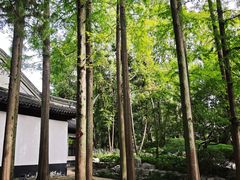 -汇龙潭