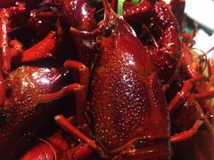 -龙虾风暴(松江店)