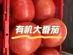 -阿林有机农庄