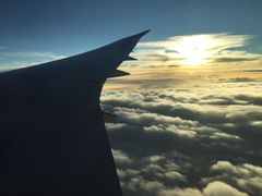 海南航空-海南海航航空信息系统公司