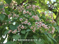 -八大处公园