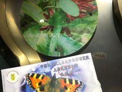 -上海昆虫博物馆