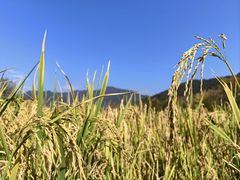 -塔川景区