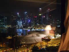 -新加坡文华东方酒店