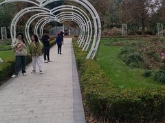 -昆山城市生态森林公园