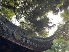 -秋霞圃