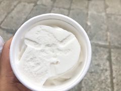 椰子雪糕-洪馨椰子
