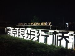 -南京眼步行桥