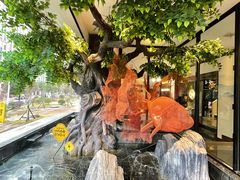 -院里寻菜·精致庭院菜(观沙岭店)