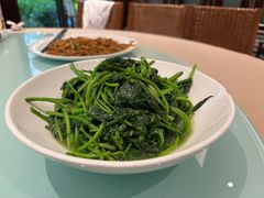 -广信传说