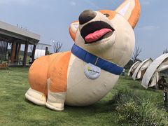 -阳澄湖半岛旅游度假区