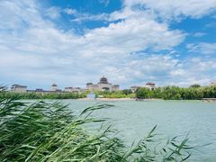 -莲花池公园