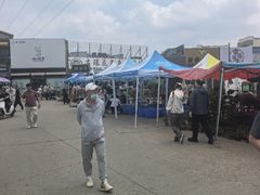 -中环花鸟鱼虫市场